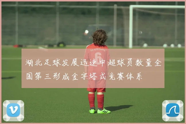 湖北足球发展迅速中超球员数量全国第三形成金字塔式竞赛体系