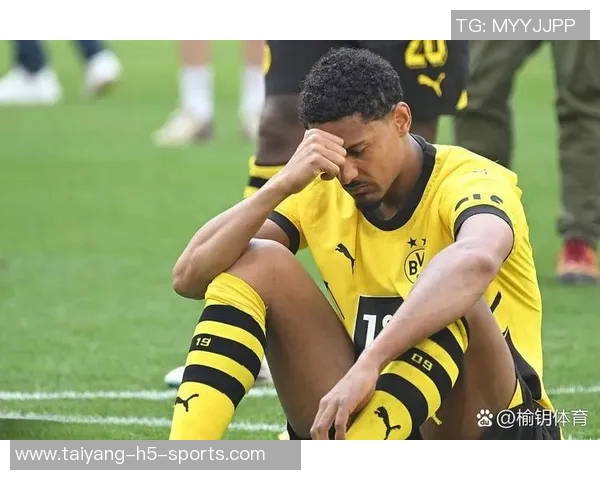 多特蒙德球员身价大幅波动阿德耶米领涨1500万欧元 多特蒙德球员身价大幅波动阿德耶米领涨1500万欧元